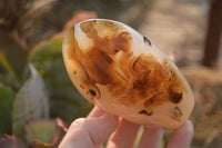 Polished Mixed Agate Standing Free Forms  x 4 From West Coast, Madagascar - Toprock Gemstones and Minerals
