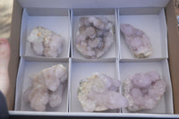 Natural Pale Lilac Spirit Quartz Clusters x 6 From Boekenhouthoek, South Africa - Toprock Gemstones and Minerals