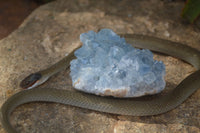 Natural Blue Celestite Crystal Specimens  x 3 From Sakoany, Madagascar - Toprock Gemstones and Minerals
