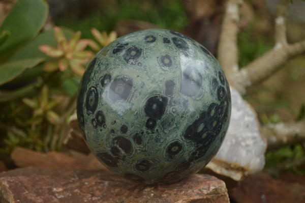 Polished Large Stromatolite / Kambamba Jasper Sphere  x 1 From Madagascar - TopRock