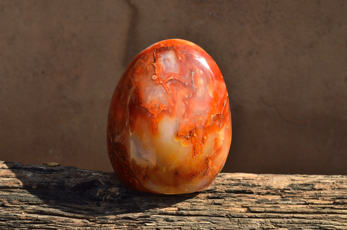 Polished Lovely Selection Of Carnelian Agate Standing Free Forms x 4 From Madagascar - TopRock