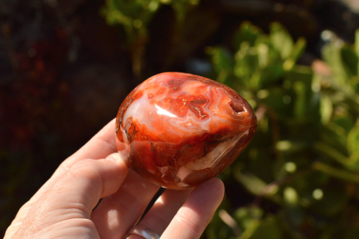 Polished Lovely Selection Of Carnelian Agate Standing Free Forms x 4 From Madagascar - TopRock
