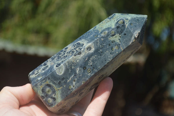 Polished Stromatolite / Kambamba Jasper Points  x 2 From Madagascar - TopRock