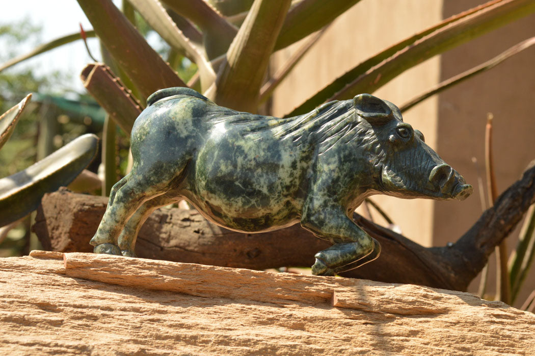 Polished Extra Large Serpentine Warthog Carving x 1 From Zimbabwe - TopRock