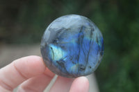 Polished Flashy Labradorite Palm Stones  x 14 From Tulear, Madagascar - Toprock Gemstones and Minerals