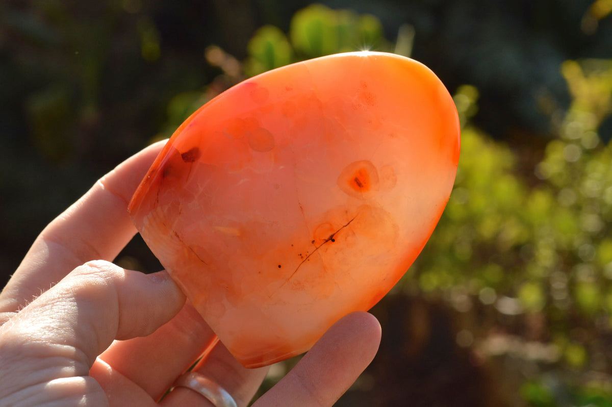 Polished Lovely Selection Of Carnelian Agate Standing Free Forms x 4 From Madagascar - TopRock