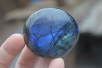 Polished Flashy Labradorite Palm Stones  x 14 From Tulear, Madagascar - Toprock Gemstones and Minerals