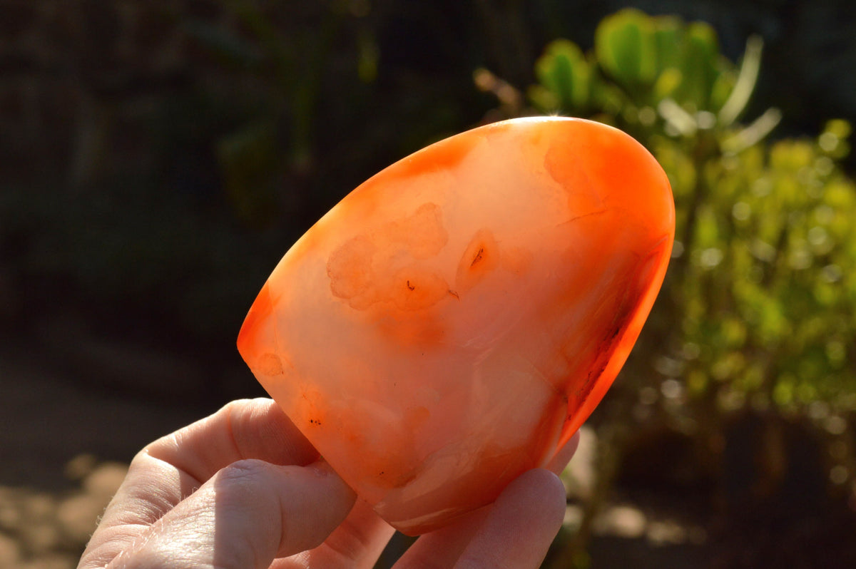Polished Lovely Selection Of Carnelian Agate Standing Free Forms x 4 From Madagascar - TopRock