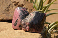 Polished One Side Polished Rhodonite Free Forms  x 4 From Madagascar - TopRock