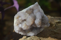 Natural Pale Lilac Spirit Quartz Clusters x 6 From Boekenhouthoek, South Africa - Toprock Gemstones and Minerals