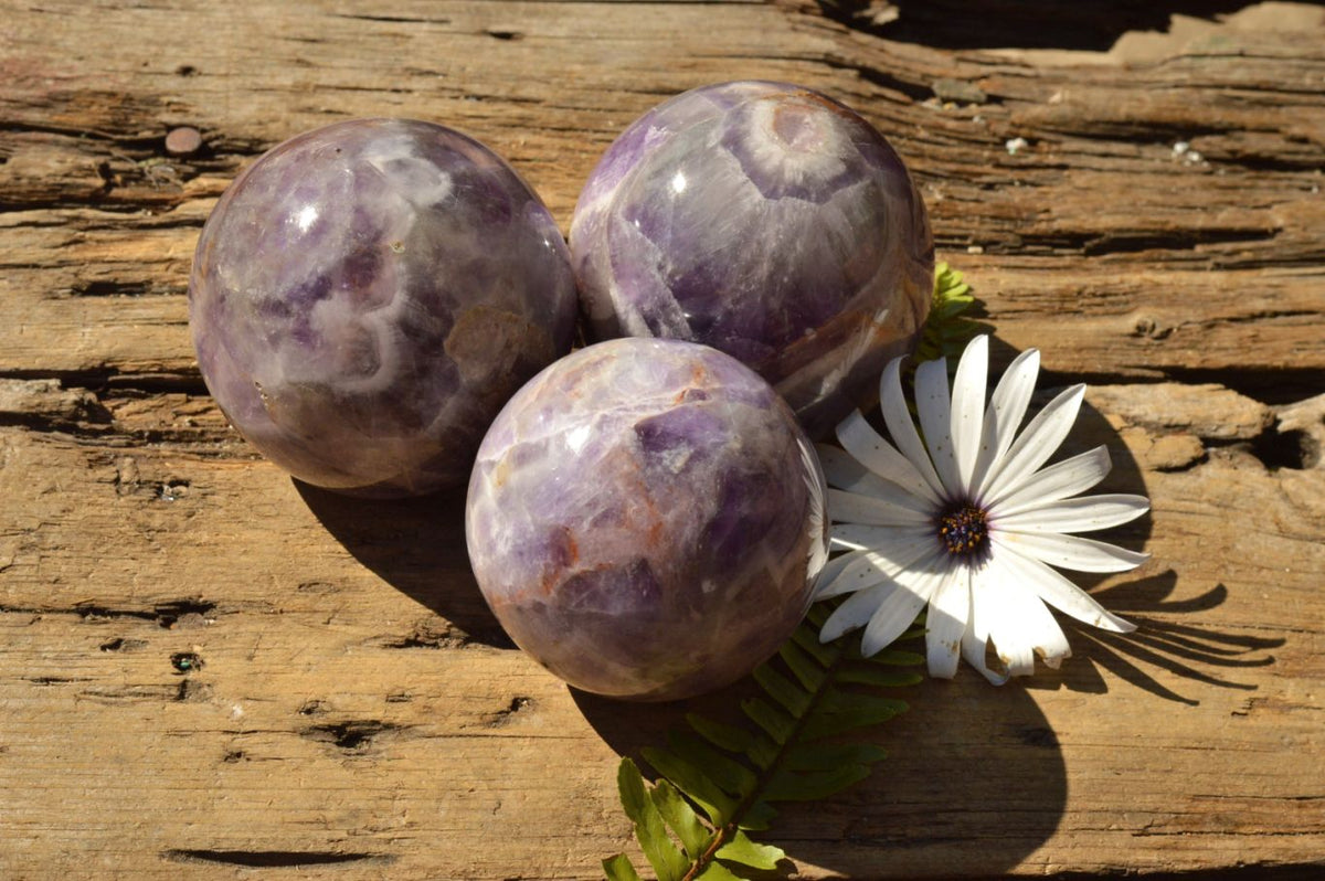 Polished Dream Amethyst Spheres x 3 From Madagascar - TopRock
