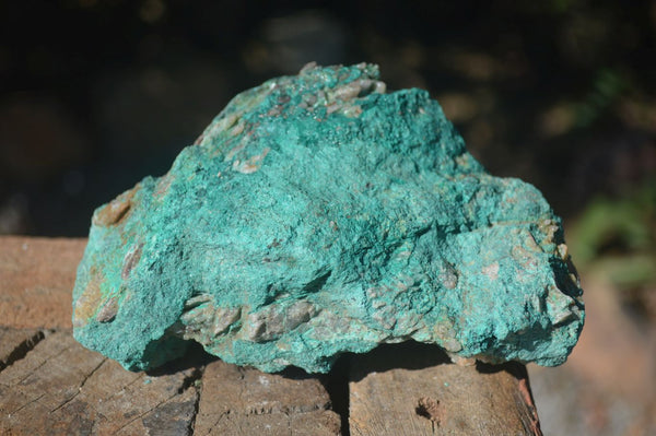 Natural Rough Chrysocolla Specimens  x 6 From Kaokoveld, Namibia - Toprock Gemstones and Minerals 