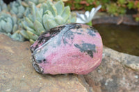 Polished One Side Polished Rhodonite Free Forms  x 4 From Madagascar - TopRock