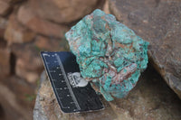 Natural Rough Chrysocolla Specimens  x 6 From Kaokoveld, Namibia - Toprock Gemstones and Minerals