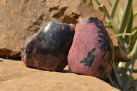 Polished One Side Polished Rhodonite Free Forms  x 4 From Madagascar - TopRock