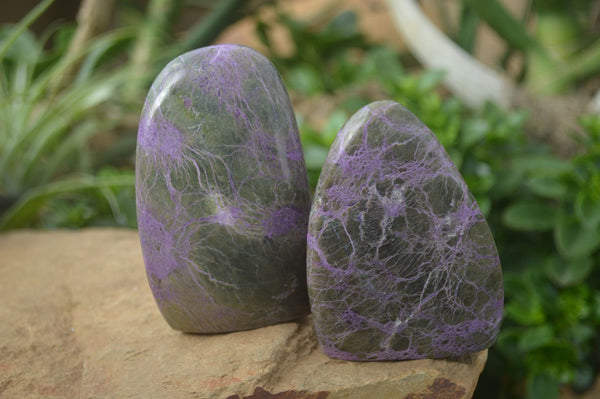 Polished Stichtite & Serpentine Standing Free Forms With Silky Purple Threads  x 3 From Barberton, Southern Africa - Toprock Gemstones and Minerals 
