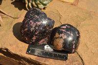 Polished One Side Polished Rhodonite Free Forms  x 4 From Madagascar - TopRock