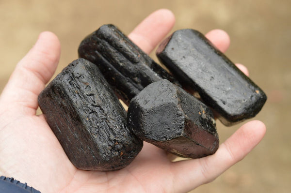 Natural Terminated Alluvial Black Tourmaline Crystals  x 12 From Zimbabwe - TopRock