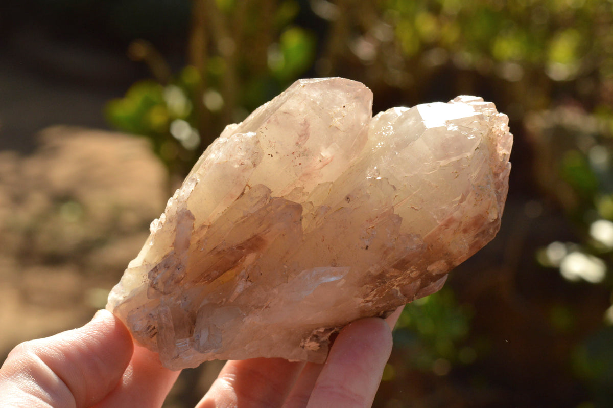 Natural Red Hematoid Phantom Quartz Clusters x 6 From Karoi, Zimbabwe - TopRock