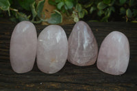 Polished Pink Rose Quartz Standing Free Forms  x 4 From Madagascar - Toprock Gemstones and Minerals