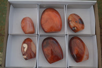 Polished Carnelian Agate Standing Free Forms  x 6 From Madagascar - Toprock Gemstones and Minerals