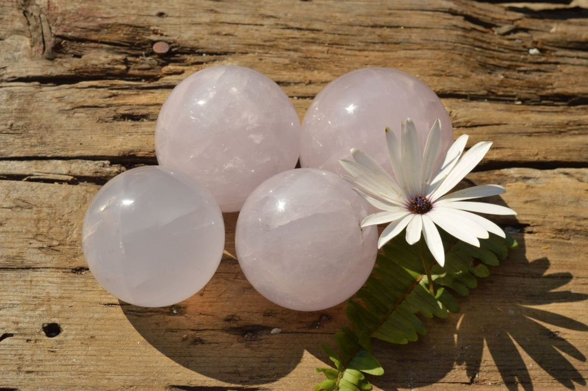 Polished Rare Star Blue Rose Quartz Spheres x 4 From Madagascar - TopRock