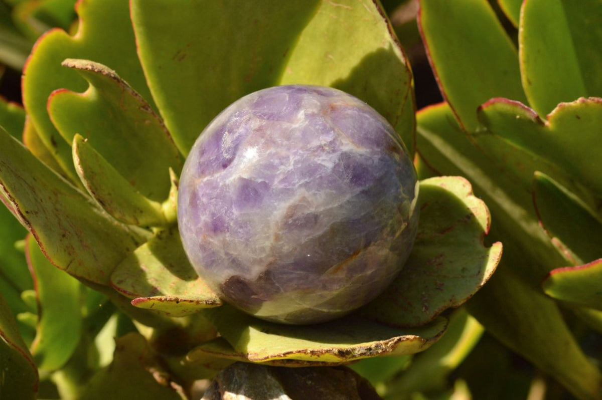 Polished Dream Amethyst Spheres x 3 From Madagascar - TopRock