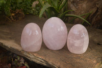 Polished Pink Rose Quartz Standing Free Forms x 3 From Antsirabe, Madagascar - Toprock Gemstones and Minerals