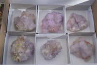 Natural Spirit Amethyst Quartz Clusters x 6 From Boekenhouthoek, South Africa - Toprock Gemstones and Minerals