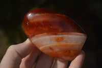 Polished Carnelian Agate Standing Free Forms  x 6 From Madagascar - Toprock Gemstones and Minerals