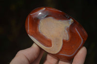 Polished Carnelian Agate Standing Free Forms  x 6 From Madagascar - Toprock Gemstones and Minerals