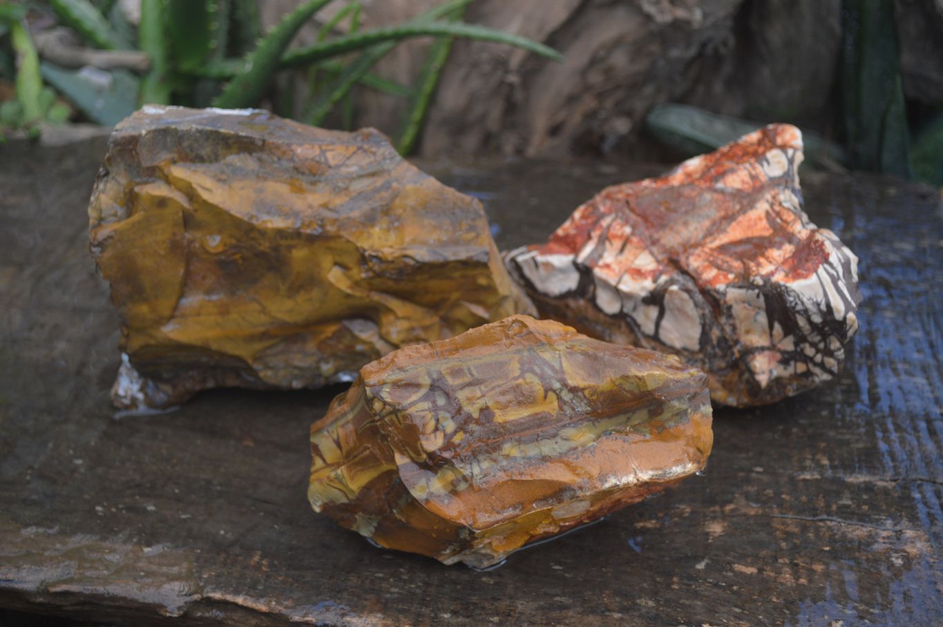 Natural Rough Nguni Jasper Specimens x 3 From Northern Cape, South