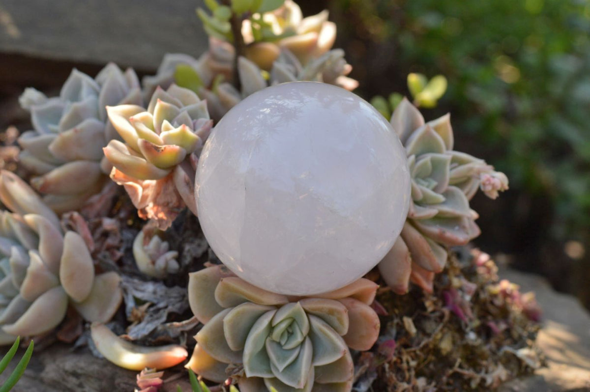 Polished Rare Star Blue Rose Quartz Spheres x 4 From Madagascar - TopRock