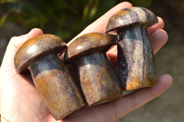 Polished Lithium Mica Mushroom Carvings  x 6 From Zimbabwe - TopRock