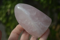 Polished Pink Rose Quartz Standing Free Forms  x 4 From Madagascar - Toprock Gemstones and Minerals