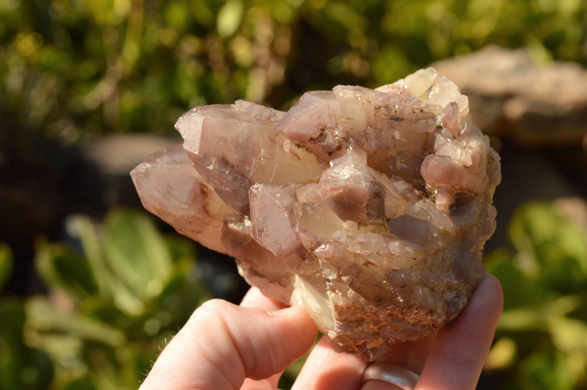 Natural Red Hematoid Phantom Quartz Clusters x 6 From Karoi, Zimbabwe - TopRock