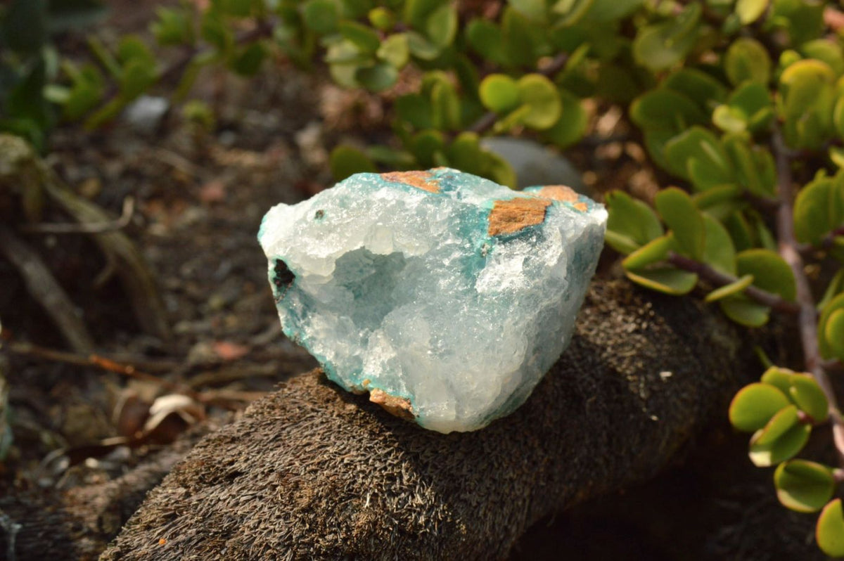 Natural Drusy Chrysocolla Dolomite With Malachite Specimens x 12 From Likasi, Congo - TopRock