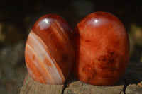 Polished Carnelian Agate Standing Free Forms  x 6 From Madagascar - Toprock Gemstones and Minerals