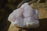 Natural Spirit Amethyst Quartz Clusters x 6 From Boekenhouthoek, South Africa - Toprock Gemstones and Minerals