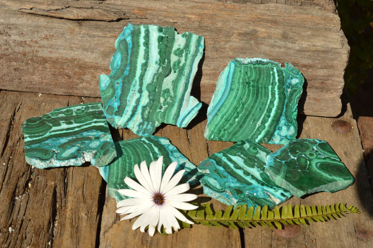 Polished Gorgeous Banded Malachite Slices With Chrysocolla Edging x 6 From Congo - TopRock