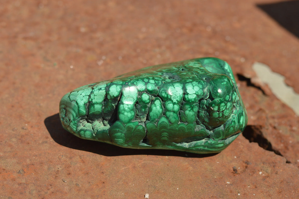 Polished Malachite Free Forms With Stunning Flower & Banding Patterns x 6 From Congo - TopRock