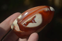 Polished Carnelian Agate Standing Free Forms  x 6 From Madagascar - Toprock Gemstones and Minerals