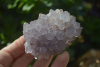 Natural Spirit Amethyst Quartz Clusters x 6 From Boekenhouthoek, South Africa - Toprock Gemstones and Minerals