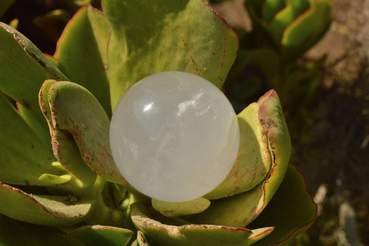 Polished Rare Star Blue Rose Quartz Spheres x 4 From Madagascar - TopRock