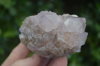 Natural Spirit Amethyst Quartz Clusters x 6 From Boekenhouthoek, South Africa - Toprock Gemstones and Minerals