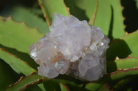 Natural Spirit Amethyst Quartz Clusters x 6 From Boekenhouthoek, South Africa - Toprock Gemstones and Minerals