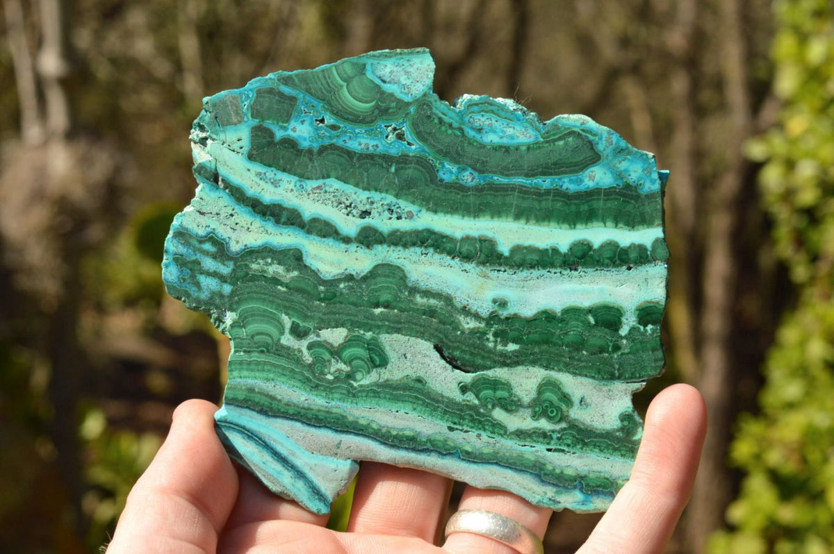 Polished Gorgeous Banded Malachite Slices With Chrysocolla Edging x 6 From Congo - TopRock