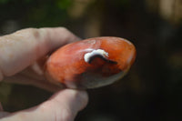 Polished Carnelian Agate Standing Free Forms  x 6 From Madagascar - Toprock Gemstones and Minerals