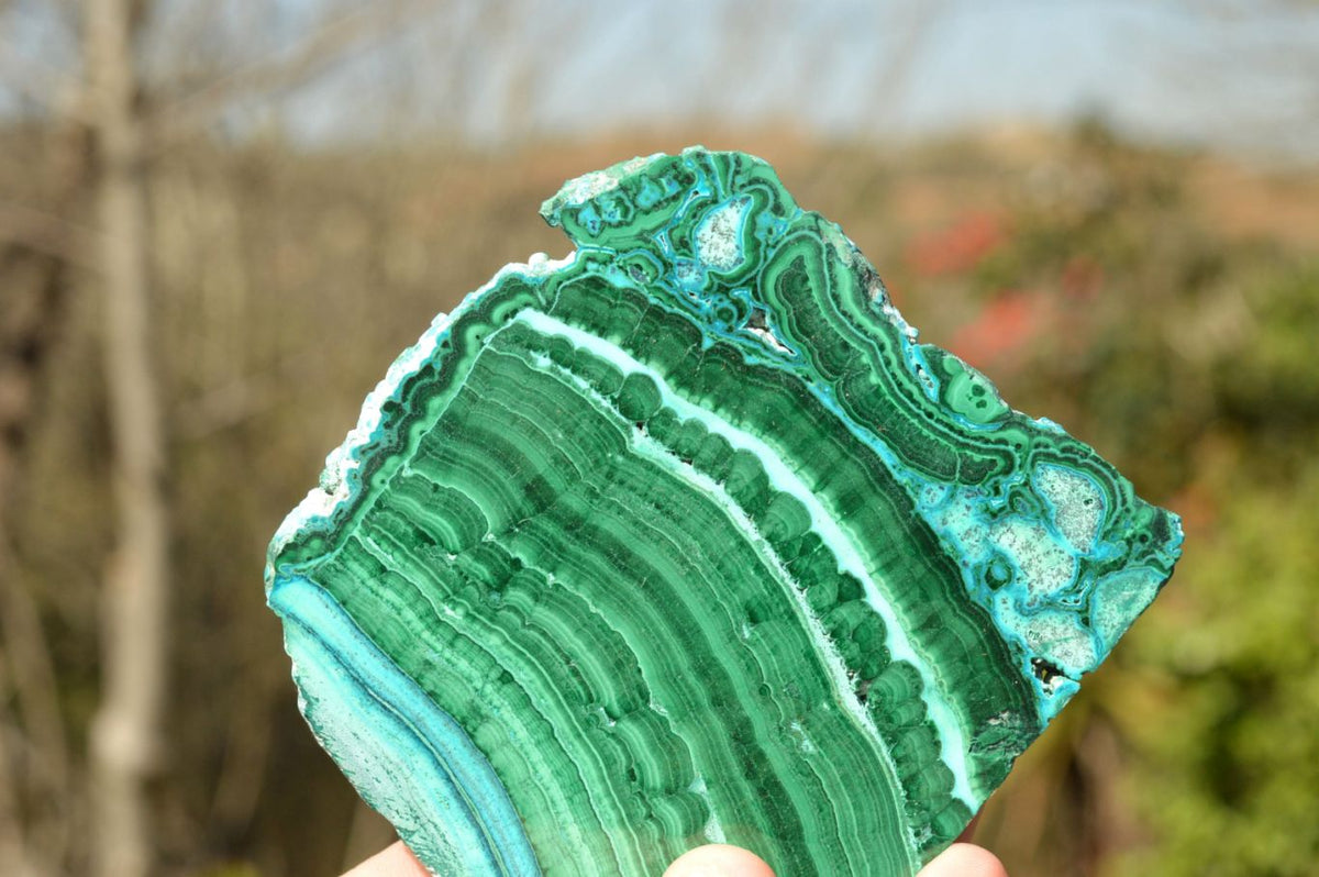 Polished Gorgeous Banded Malachite Slices With Chrysocolla Edging x 6 From Congo - TopRock