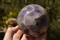 Polished Lovely Dark Dream Amethyst Spheres  x 2 From Madagascar - TopRock